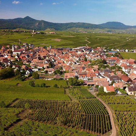 Gite Du Vignoble Villa Beblenheim Exterior foto