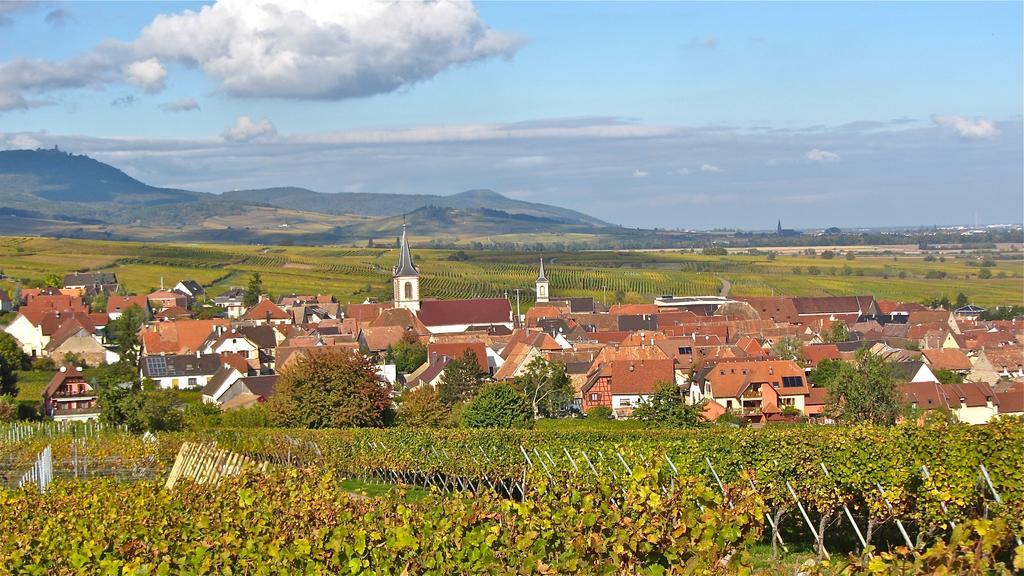 Gite Du Vignoble Villa Beblenheim Habitación foto