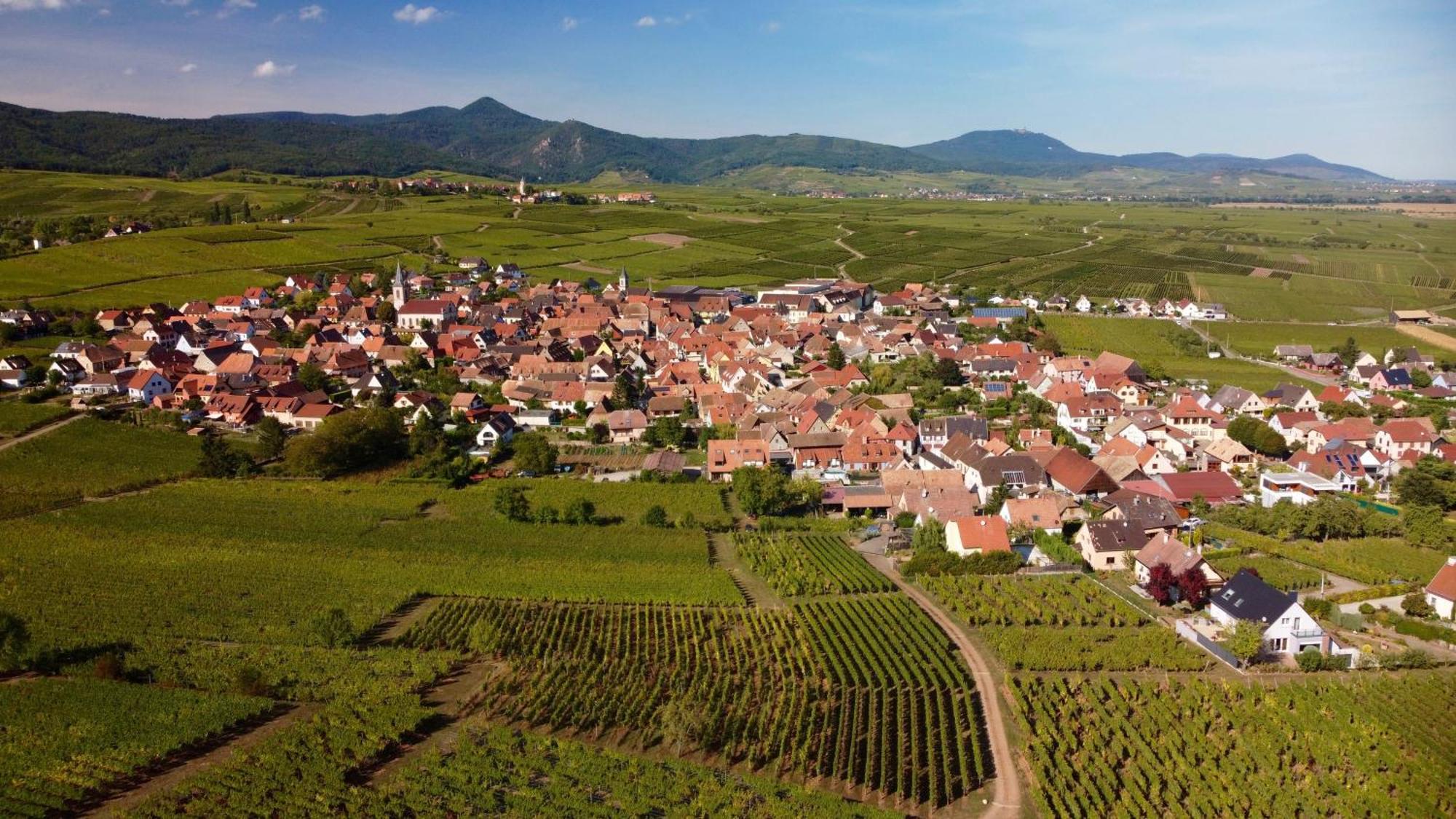 Gite Du Vignoble Villa Beblenheim Exterior foto